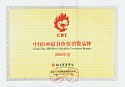 中國100最具價值消費品牌