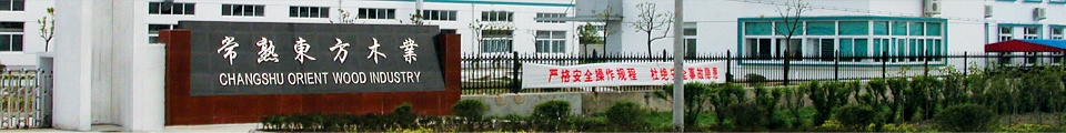 走進隆力奇